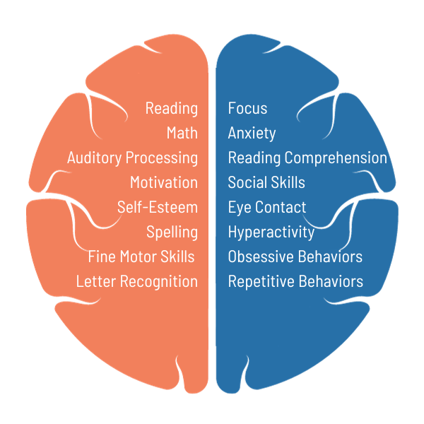 Brain Fitness All Programs